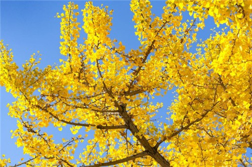 西安壽陽(yáng)山墓園怎樣預(yù)約--如何預(yù)約西安壽陽(yáng)山墓園