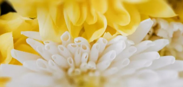 西安霸陵墓園新區(qū)位于哪里，其地理環(huán)境有何特色？