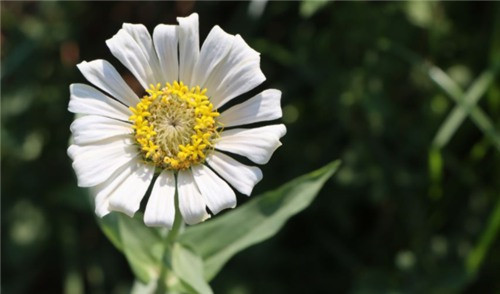 西安陵園在北郊距離最近的有哪幾個(gè)墓園?
