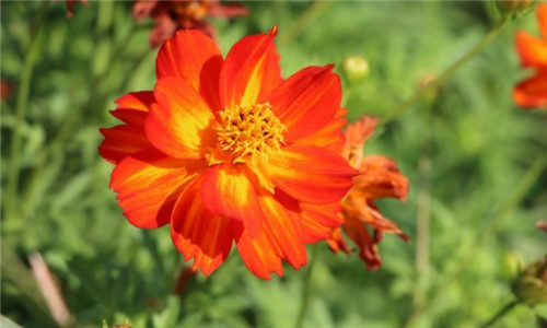 西安墓地哪里便宜