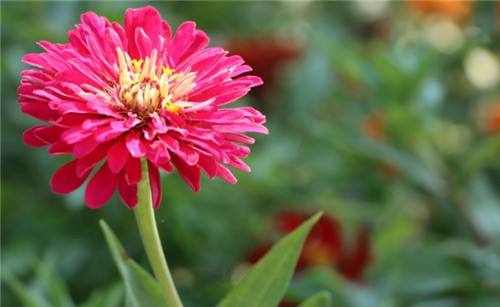 西安市公墓大全、西安市墓園大全、西安便宜的墓地 