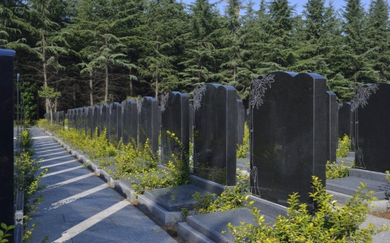 西安海葬費用活動具體流程 -公墓大全