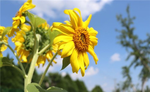 西安公墓都有哪些手續(xù)-西安公墓手續(xù)詳解