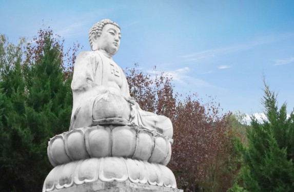 西安壽陽山墓園墓區(qū)規(guī)模宏大，占地千余畝，設(shè)計(jì)安葬骨灰三十萬俱