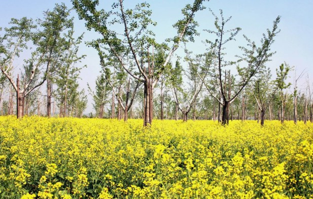 西安壽陽(yáng)山墓園怎么走，前往西安壽陽(yáng)山墓園的交通指南