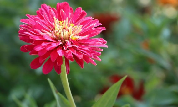 西安墓園銷售顧問-西安墓園銷售顧問