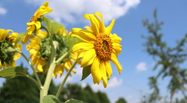 陜西省西安市壽陽山墓園自然生態(tài)陵園價格