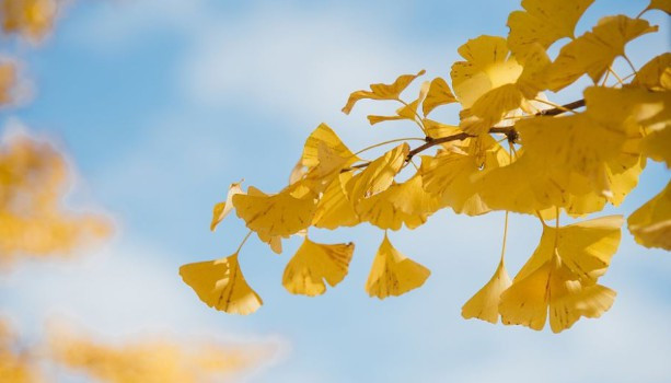 西安人文紀念園交通情況，來園路線