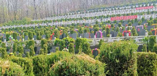 西安霸陵墓園新區(qū)價(jià)格 看墓 選墓