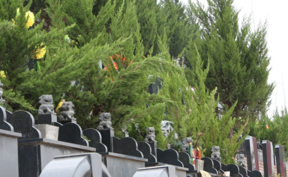 公墓限制多大歲數(shù)購買