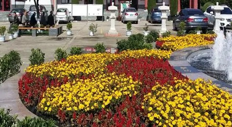 西安墓園哪里有樹(shù)葬-西安墓園哪里可以進(jìn)行樹(shù)葬？