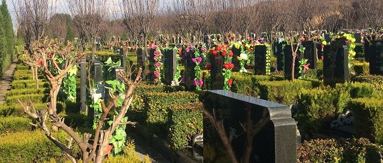 西安經(jīng)營(yíng)性公墓?jié)h陵墓園-鳳棲山墓園南區(qū)管理處