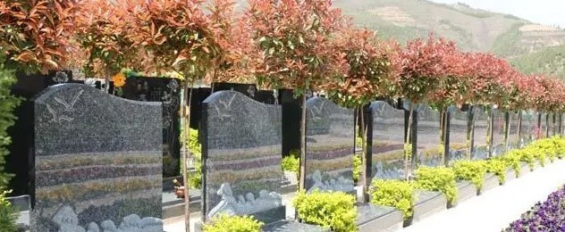 西安市高陵區(qū)公墓價格與服務(wù)對比