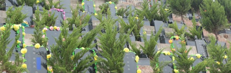 西安墓地到期收費(fèi)公告-西安墓地續(xù)費(fèi)公告