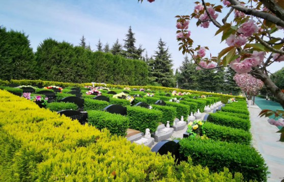 西安墓地銷售模式-西安墓地銷售模式