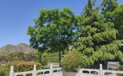 西安公墓預約掃墓-西安公墓預約掃墓