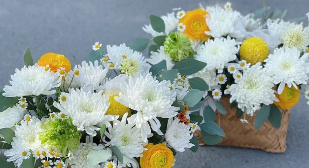 西安漢陵墓園怎么樣？?jī)r(jià)格、地址、交通情況