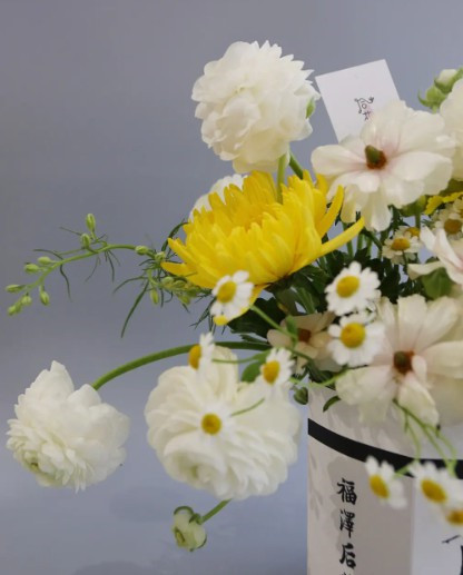 西安墓園樹葬-西安樹葬：新時代環(huán)保葬法的典范