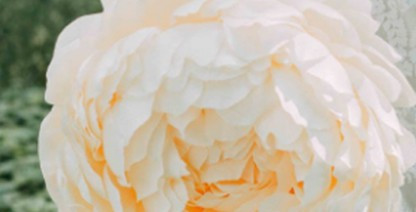 西安周邊墓園哪些比較好？哪個墓園好？哪個墓園價格便宜？