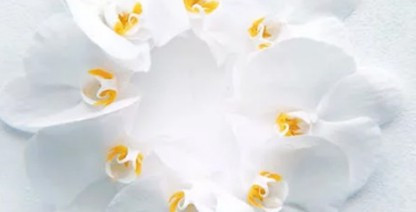 西安壽陽(yáng)山墓園打造節(jié)地生態(tài)安葬