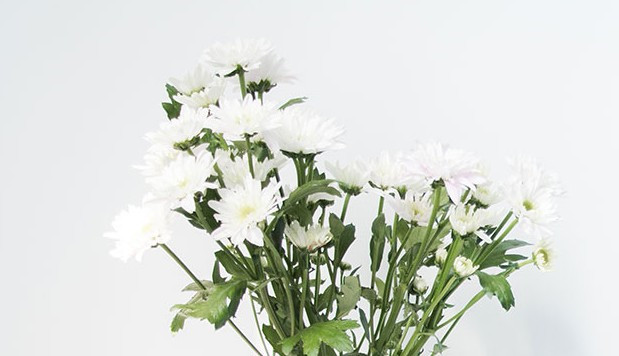 西安市霸陵新區(qū)陵園位置地址、電話(huà)-鳳棲山墓園南區(qū)管理處