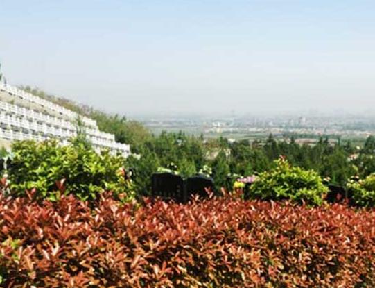 西安戶縣石井鄉(xiāng)潭峪村九龍山公墓萬起