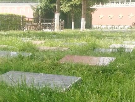 西安霸陵墓園新區(qū)草坪園風(fēng)景墓地價格,面積和