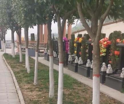 西安霸陵新區(qū)寶玉園，視野開(kāi)闊，綠樹(shù)成蔭！