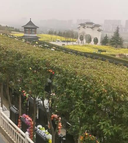 西安霸陵新區(qū)寶玉園，視野開(kāi)闊，綠樹(shù)成蔭！