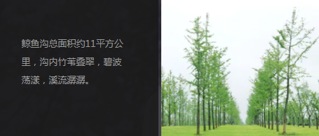 西安市東南郊?jí)坳柹侥箞@地勢高爽
