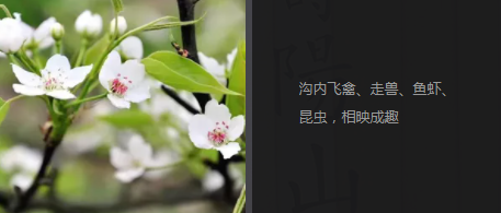 西安市東南郊?jí)坳柹侥箞@地勢高爽